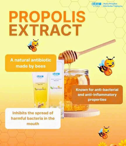 Brasil Green Propolis extract
